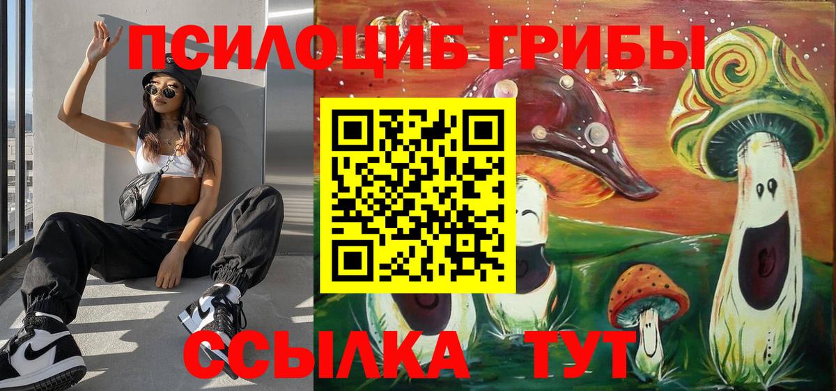 Ржев  Галлюциногенные грибы ЛСД  Вход с VPN 